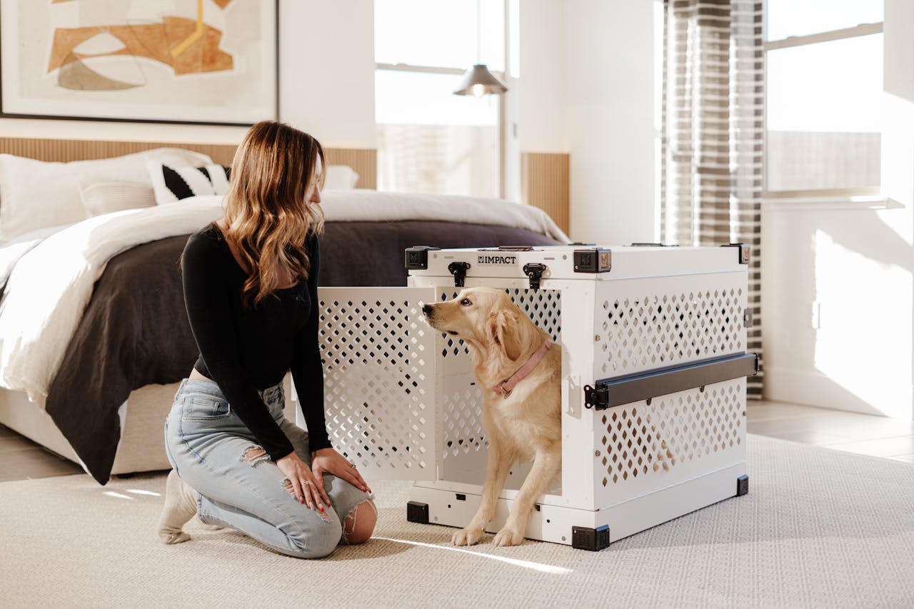 A woman interacts with her Golden Retriever next to a premium dog crate in a stylish bedroom.